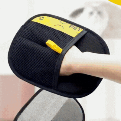 Le gant anti-poils en action sur un tapis, un canapé et un vêtement