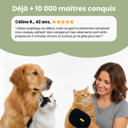 Déjà plus de 10 000 maîtres conquis