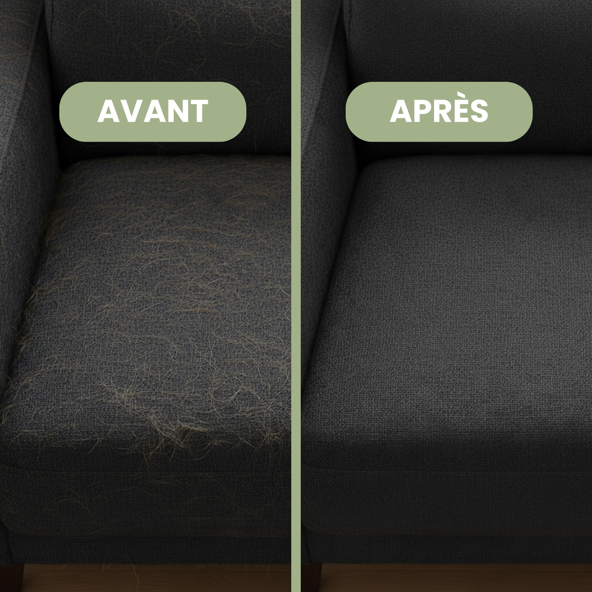 Canapé avant et après le gant anti-poils