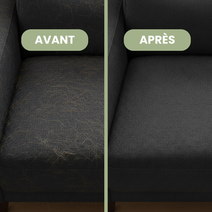 Canapé avant et après le gant anti-poils