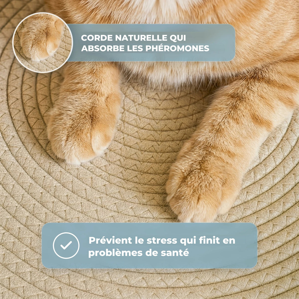 Corde naturelle qui absorbe les phéromones du chat