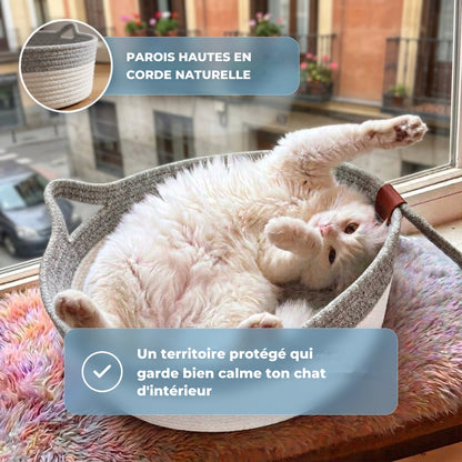 Parois hautes en corde naturelle, un territoire protégé pour le chat d'intérieur