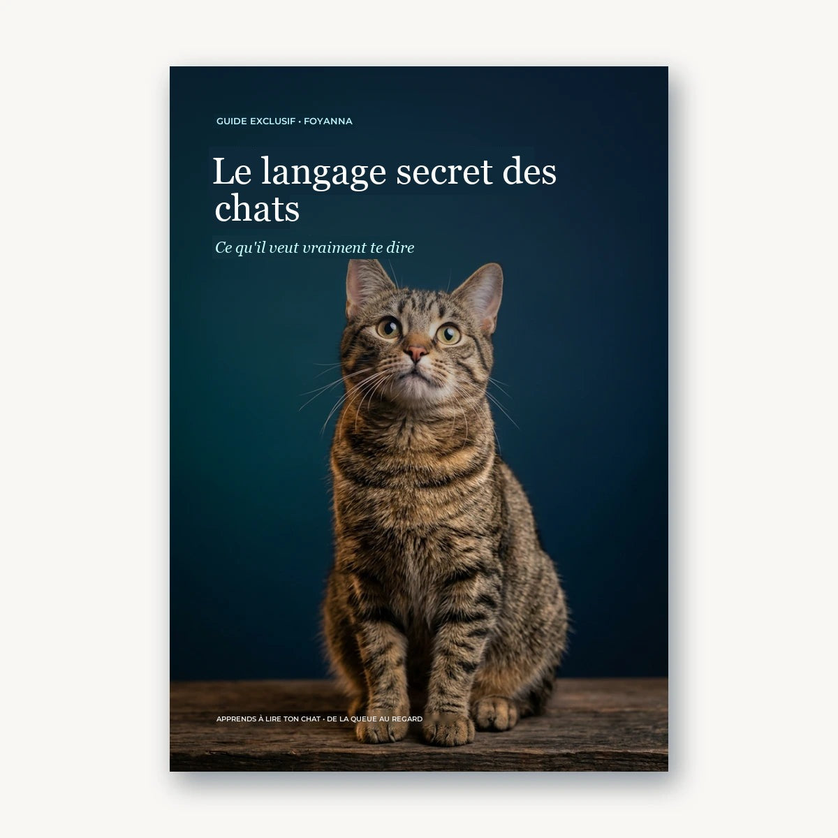 Le langage secret des chats, livre numérique Foyanna