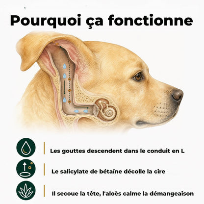 Pourquoi ça fonctionne : les gouttes descendent dans le conduit en L