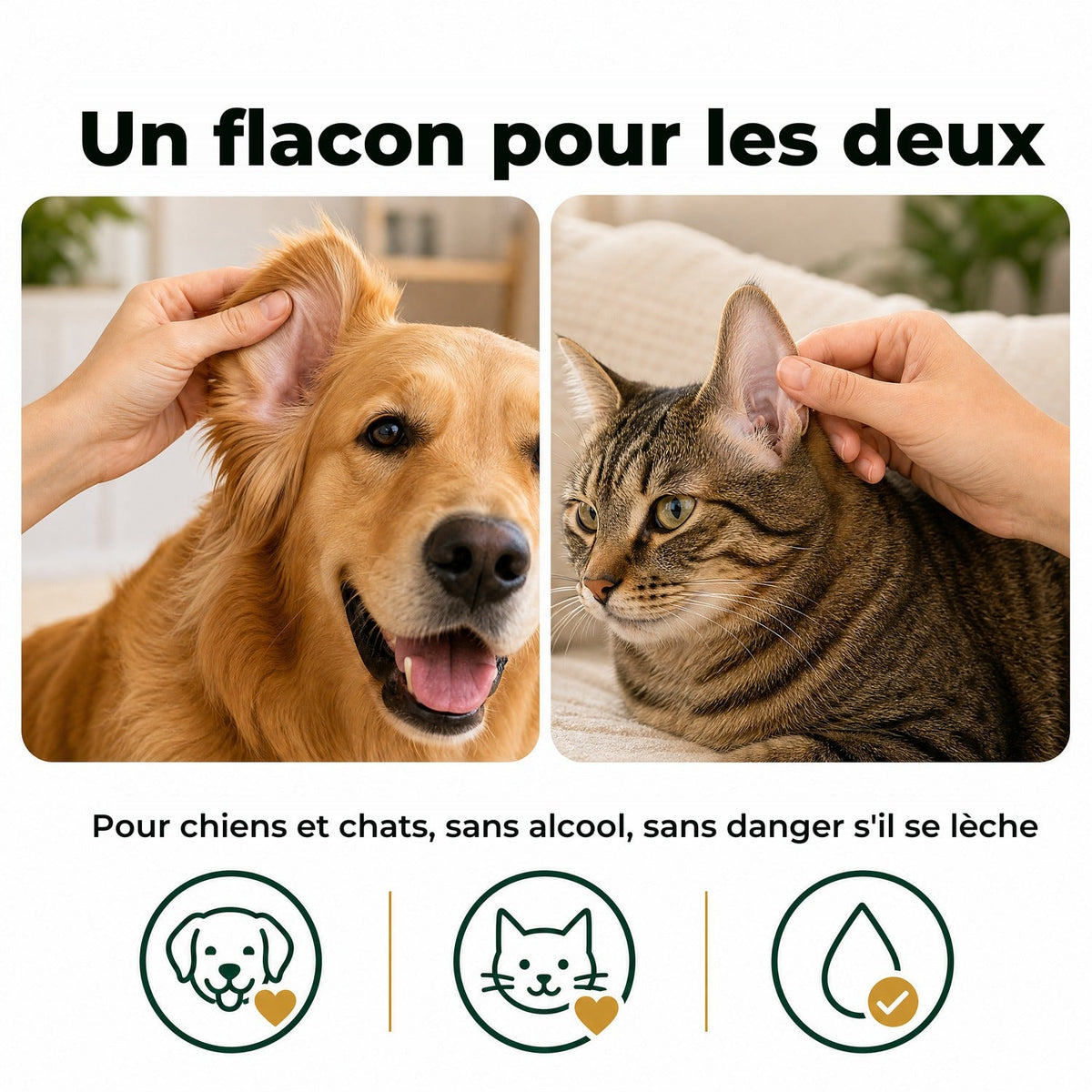 Un flacon pour le chien et le chat
