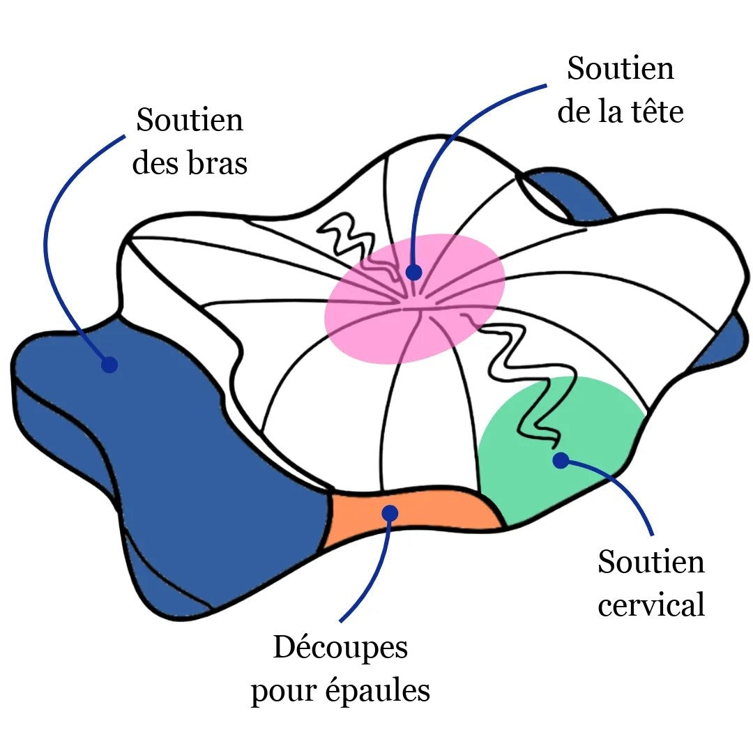 foy-op-zones.jpg