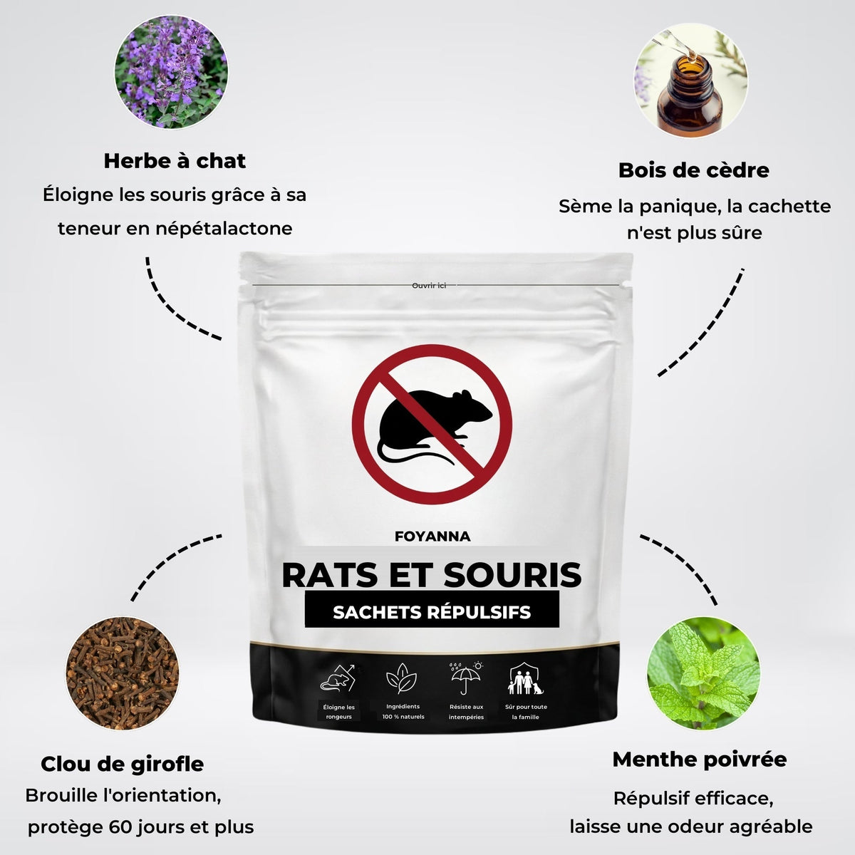 Les 4 répulsifs végétaux : herbe à chat, bois de cèdre, clou de girofle, menthe poivrée
