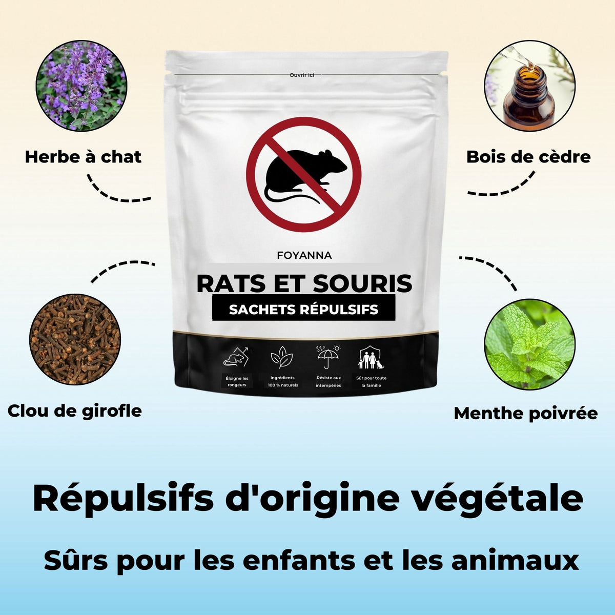 foy-rs-plantes.jpg