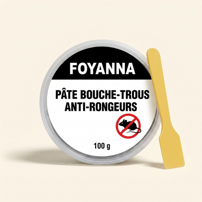 Pot de pâte bouche-trous 100 g et spatule